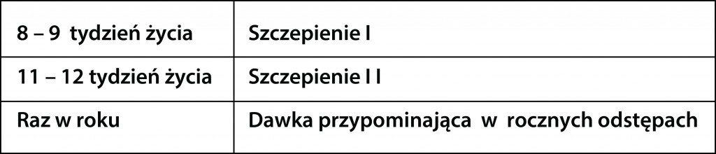 szczepienia_kota